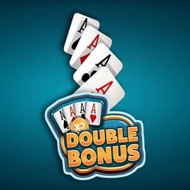 Double Double Bonus online slot from Red Rake Gaming – play at rain-bets.org