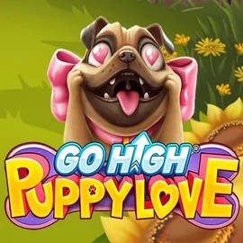 Go High Puppy Love slot logo by RubyPlay at Rainbet Casino