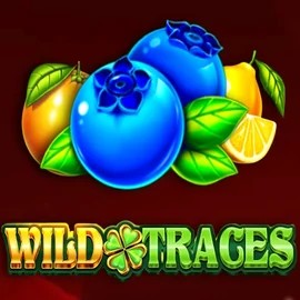 Enjoy Wild Traces by Amusnet Interactive – logo hosted on rain-bets.org